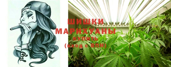 гашик Пестово
