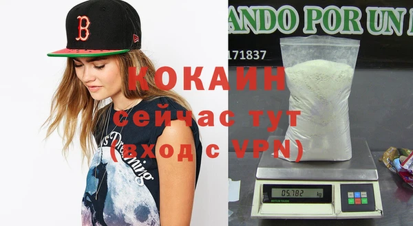 индика Переславль-Залесский