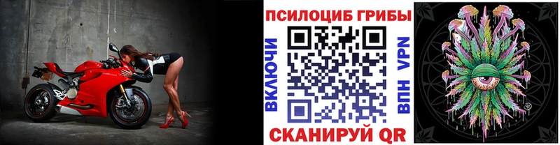 Псилоцибиновые грибы мицелий Щигры