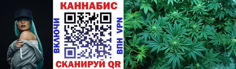 где можно купить наркотик  Щигры  это как зайти  Бошки Шишки индика  мега маркетплейс 